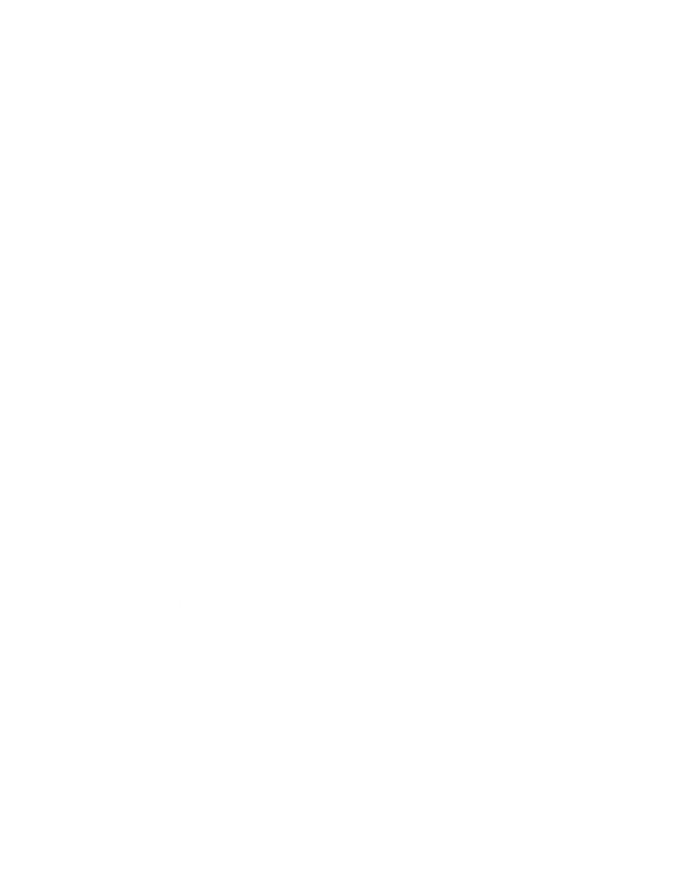 Nine Lives Development Logo